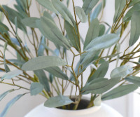 Set 3 Ravello Grey-Green Olive Leaf Sprays