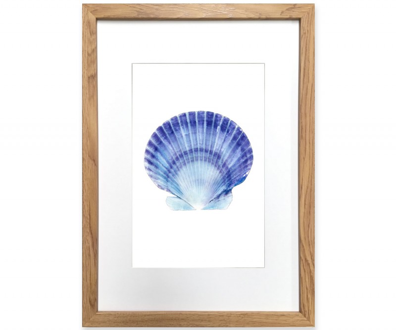 A3 Scallop Shell Blue & White Watercolour Framed Print