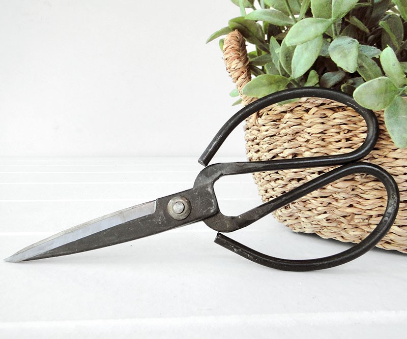 French Scissors - Large