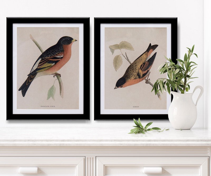 Wall Art Online - A range of prints with a Hamptons feel.