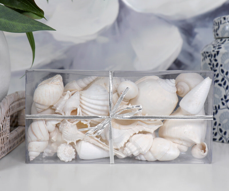 Sandy Cove Box of White Seashells
