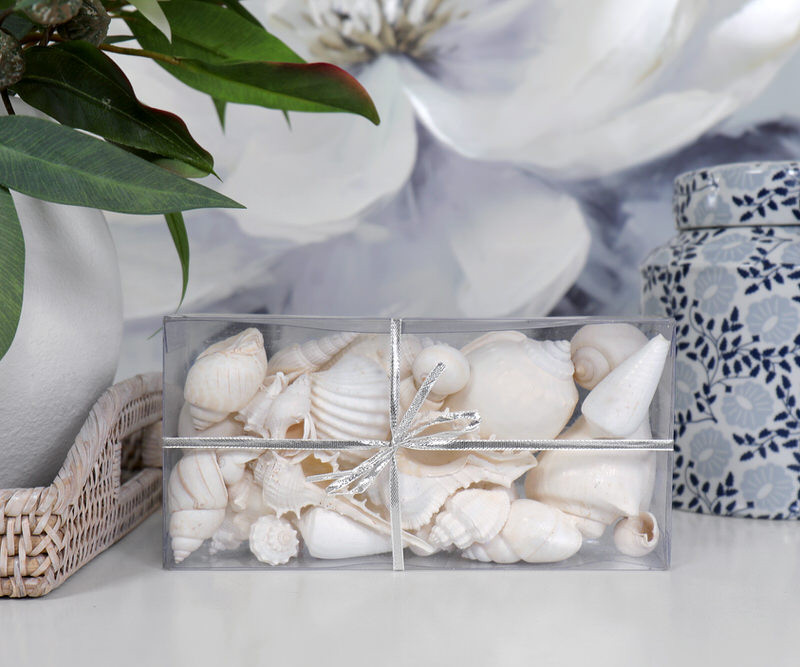 Sandy Cove Box of White Seashells