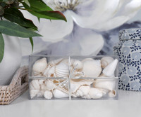 Sandy Cove Box of White Seashells