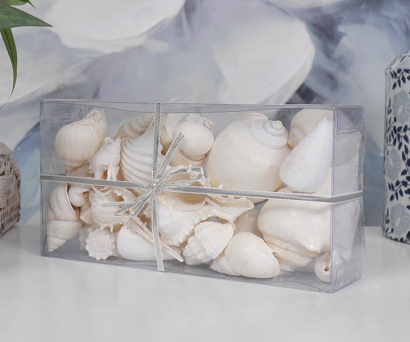 Sandy Cove Box of White Seashells