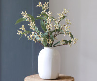 Set 3 Lytton Cream Bud Eucalyptus Stems