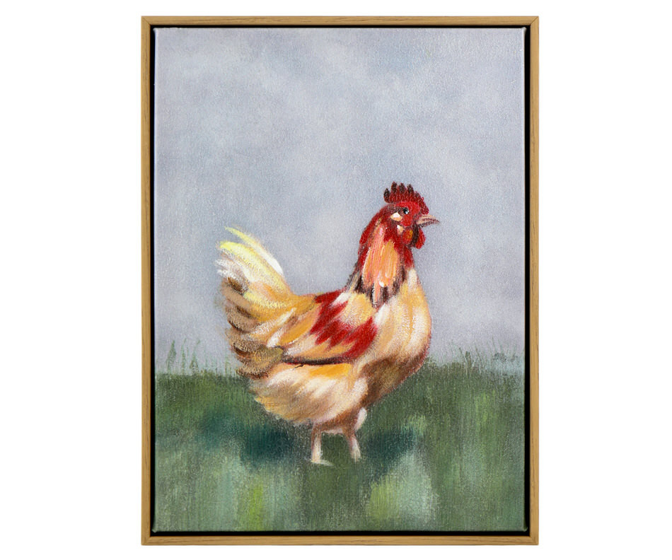 Hampshire Country Chicken Canvas Painting