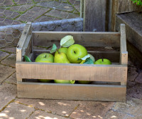 Large Farmhouse Wooden Crate