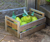 Medium Farmhouse Wooden Crate