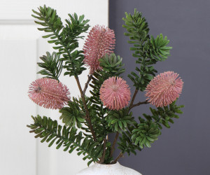 Set 2 Bancroft Pink Banksia Flower Stems