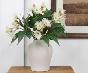 Set 3 Bowral Cream Eucalyptus Flower Stems