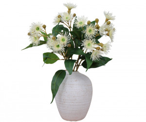 Set 3 Bowral Cream Eucalyptus Flower Stems