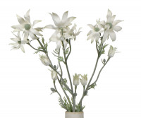 Set 3 Flannel Flower Stems