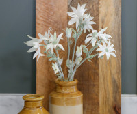 Set 3 Flannel Flower Stems