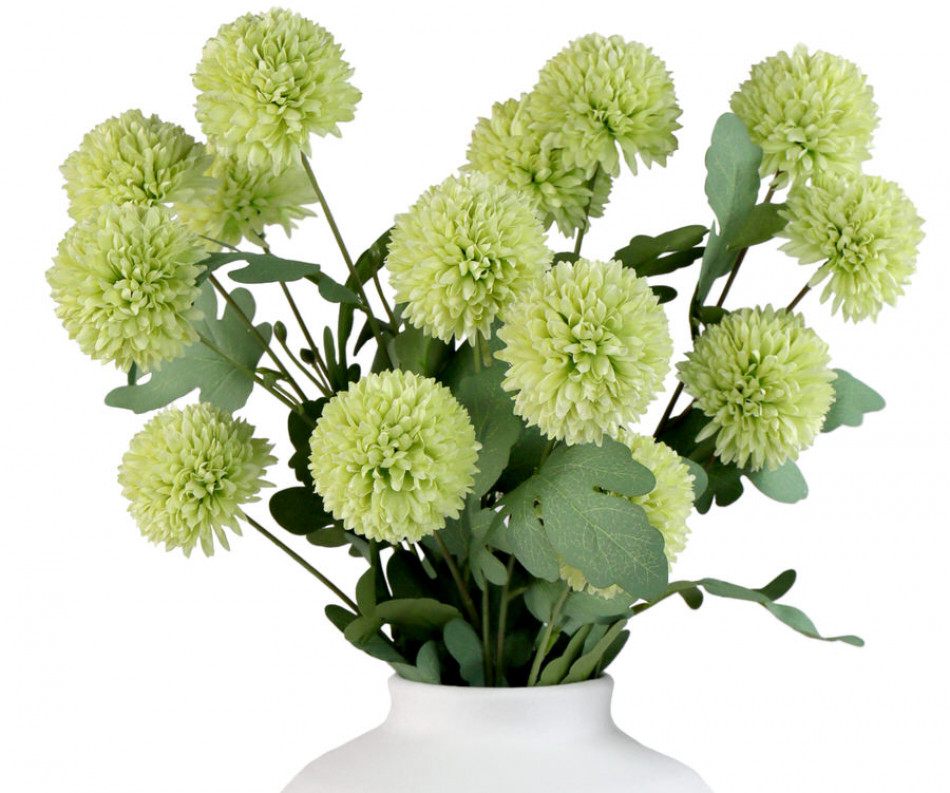 Set 5 Green Kiku Chrysanthemum Stems