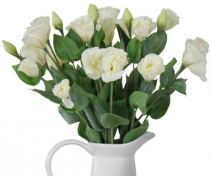 Cream Lisianthus Flower Stem