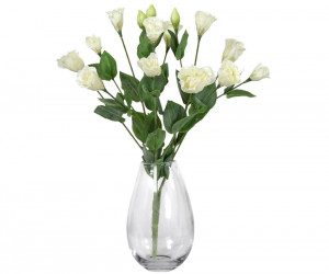 Cream Lisianthus Flower Stem