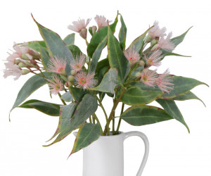 Set 3 Braemar Pink Eucalyptus Flower Stems