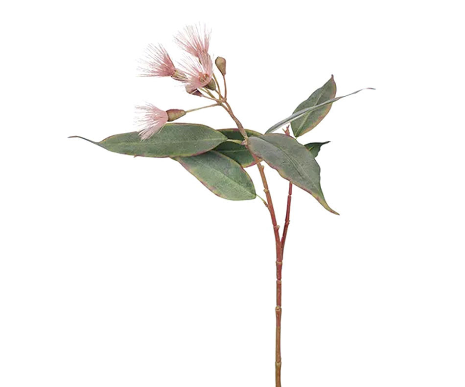 Set 3 Braemar Pink Eucalyptus Flower Stems