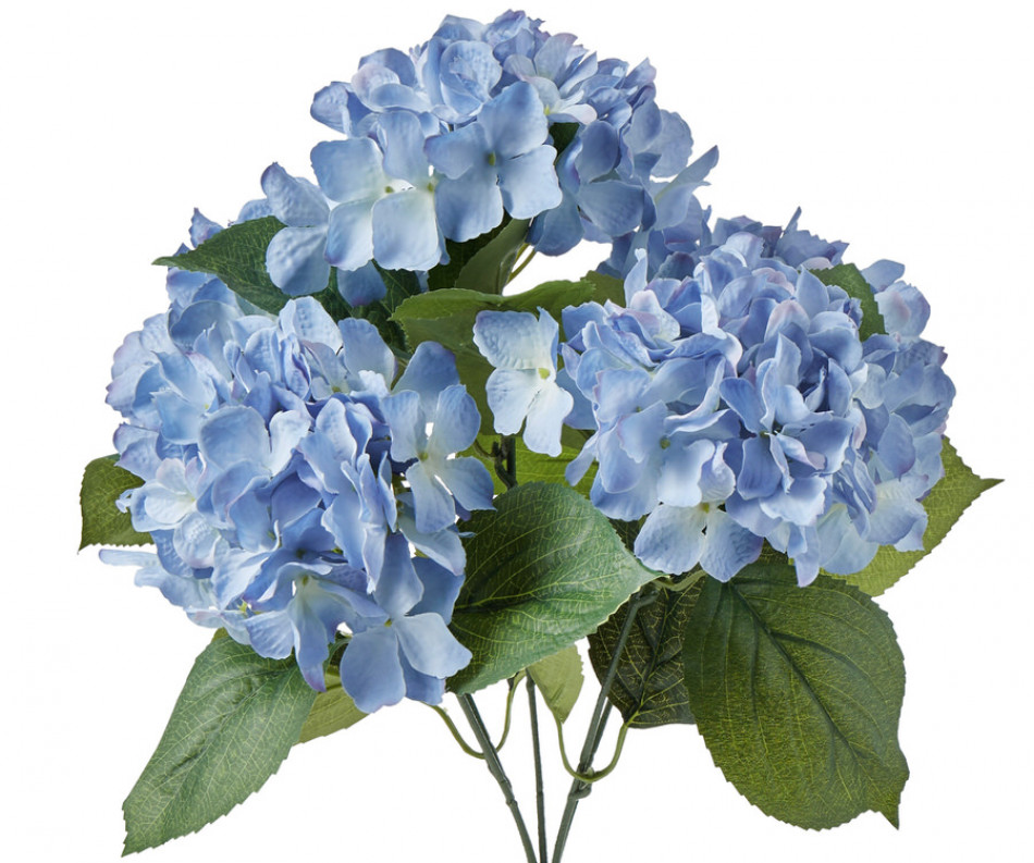 Summer Blue Hydrangeas 5-Head Bouquet