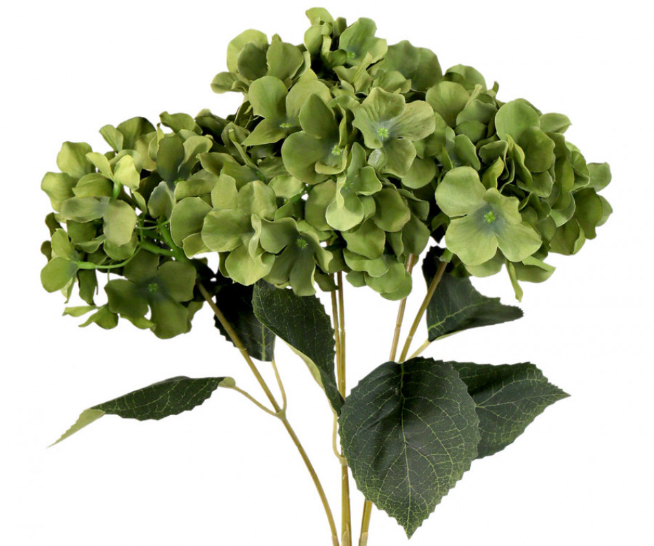 Set 5 Peridot Green Hydrangeas Bouquet