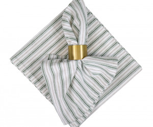 Set 4 Eaton Green Ticking Stripe Napkins