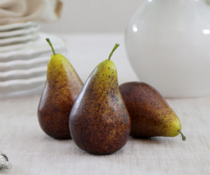 Set 3 Bosc Brown Pears