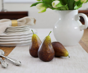 Set 3 Bosc Brown Pears