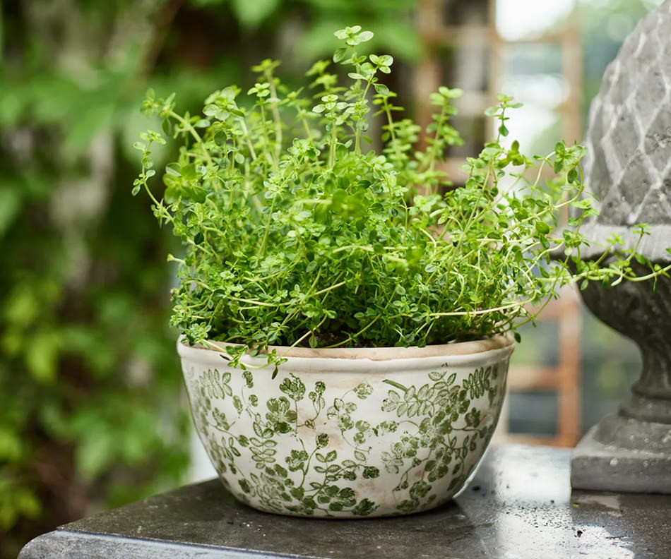 Large Linford Green Floral Wide Planter