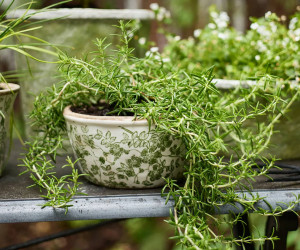 Small Linford Green Floral Wide Planter