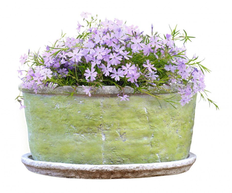Large Harrington Green Wide Planter