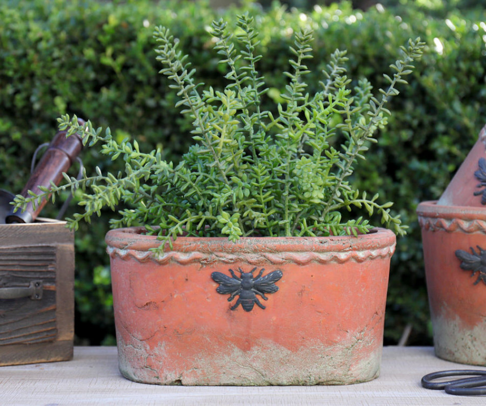 Large Oval French Bee Terracotta Plant Pot