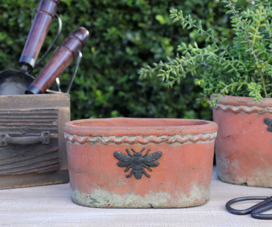 Small Oval French Bee Terracotta Plant Pot