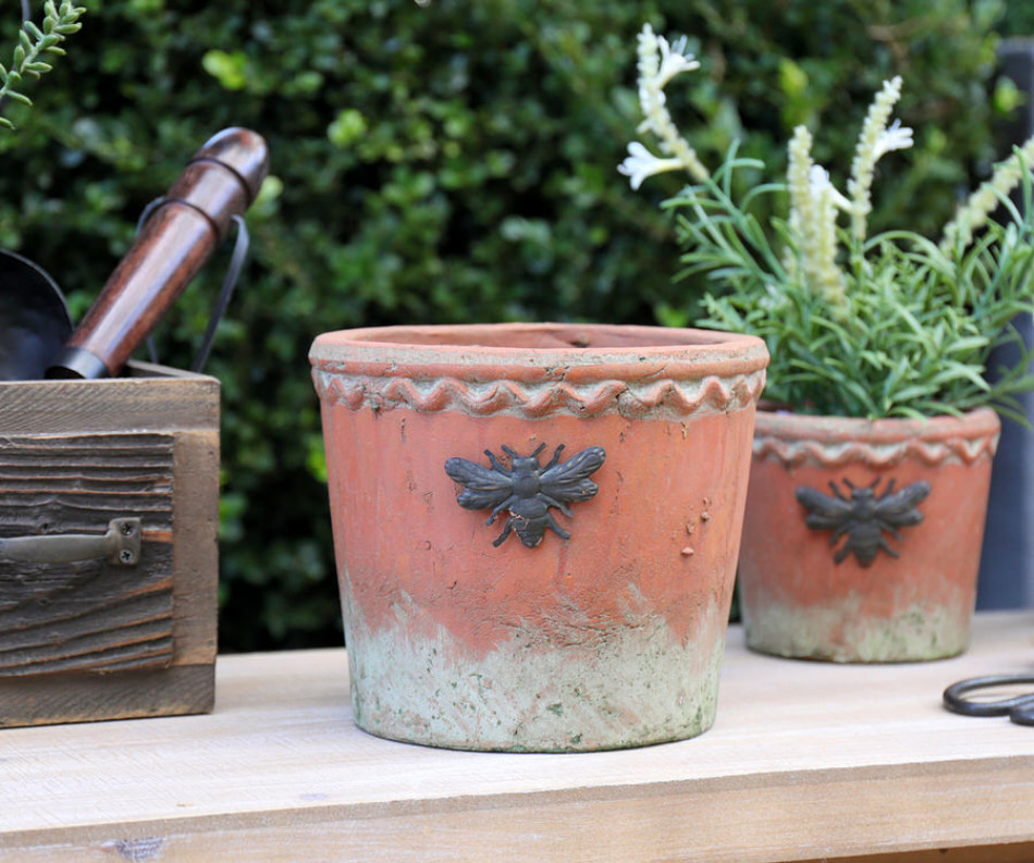 Large Round French Bee Terracotta Plant Pot