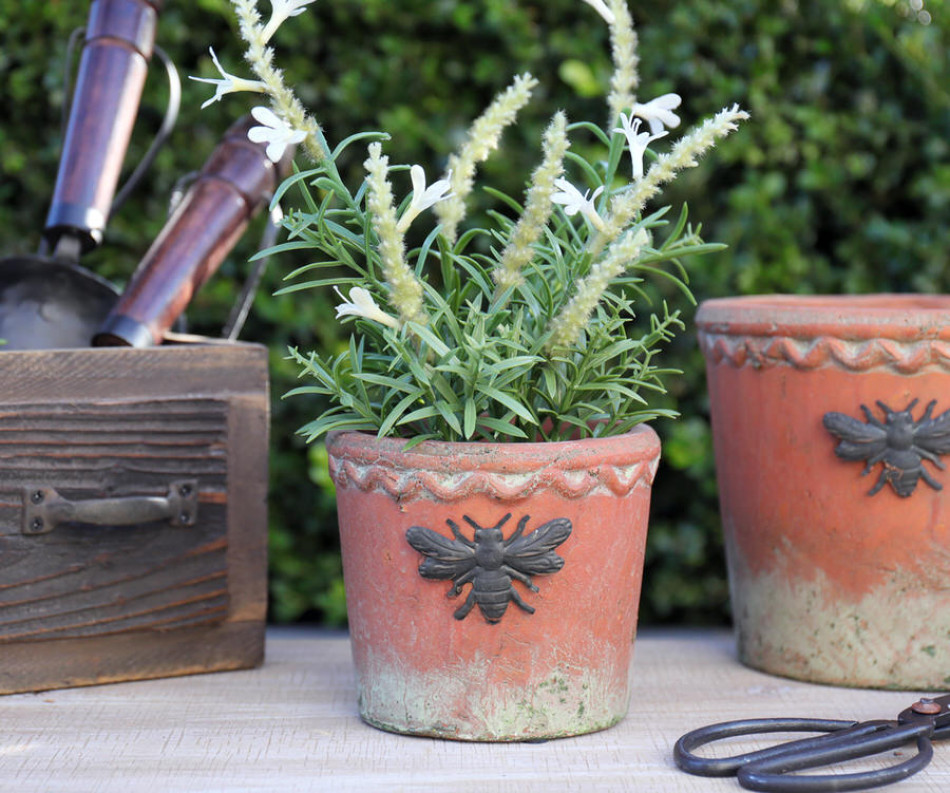 Small Round French Bee Terracotta Plant Pot