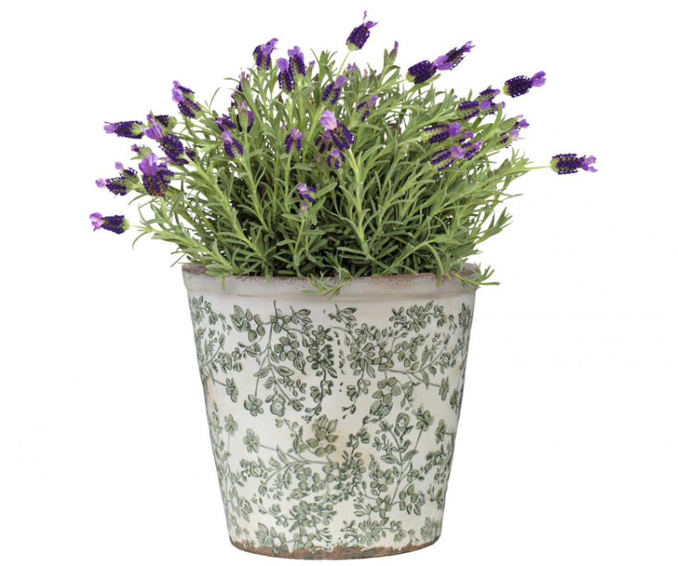 Large Hayward Green Floral Planter