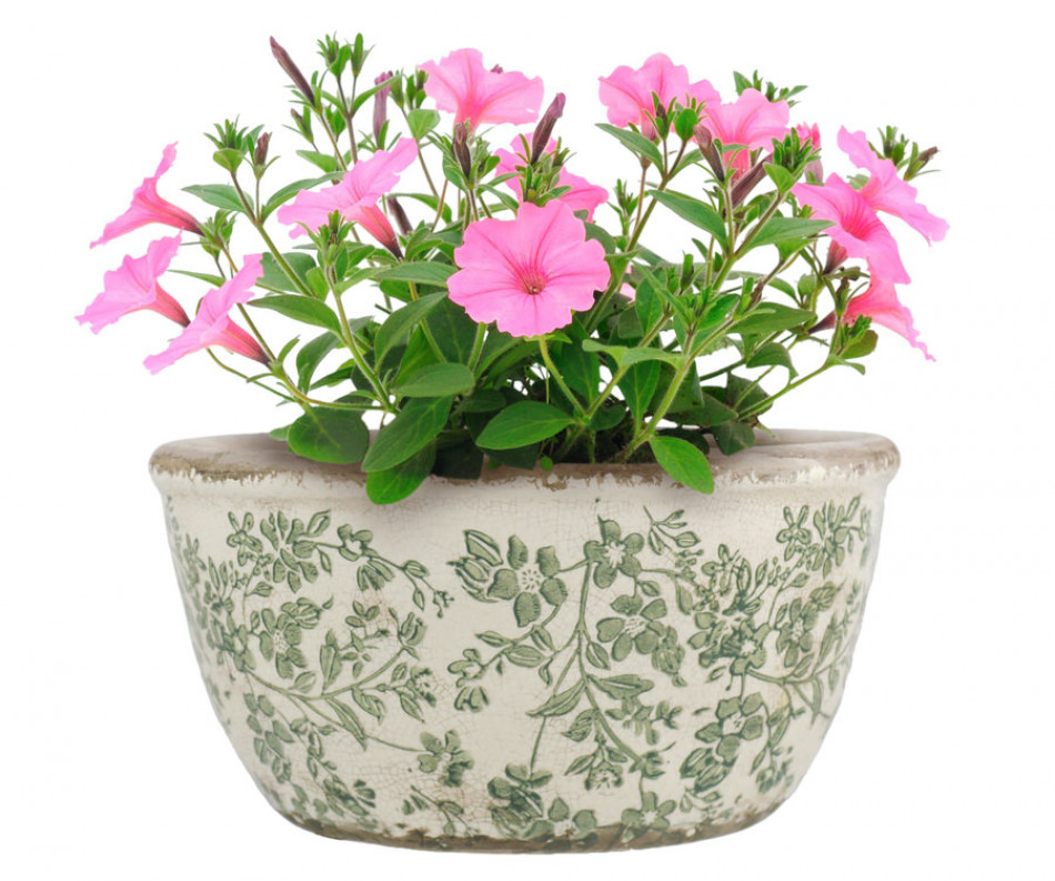 Small Hayward Green Shallow Planter