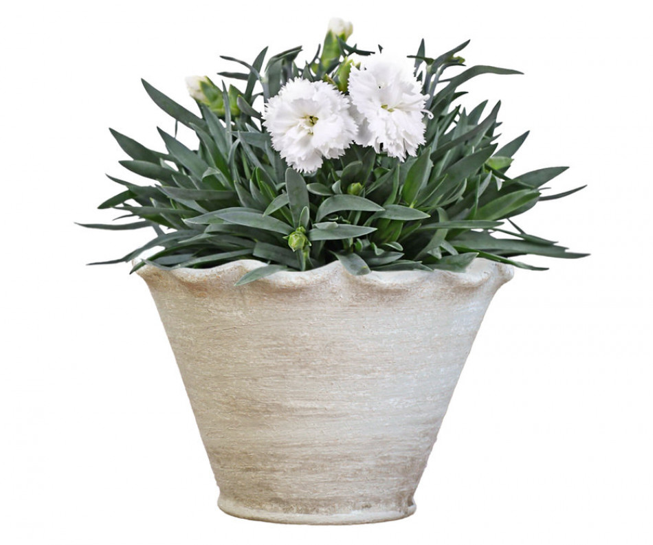 Small Taper Penshurst Wave Plant Pot