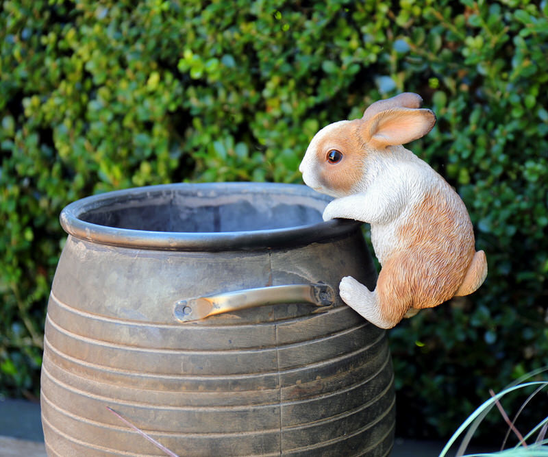 Ginger the Bunny Pot Hanger