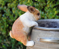 Ginger the Bunny Pot Hanger