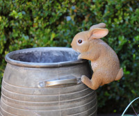 Ollie the Bunny Pot Hanger