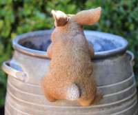 Ollie the Bunny Pot Hanger