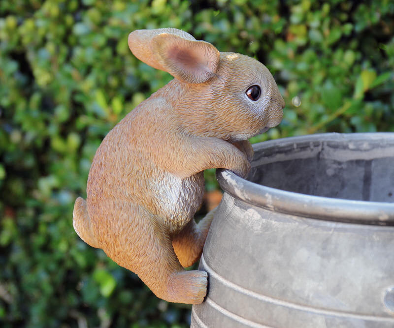 Ollie the Bunny Pot Hanger