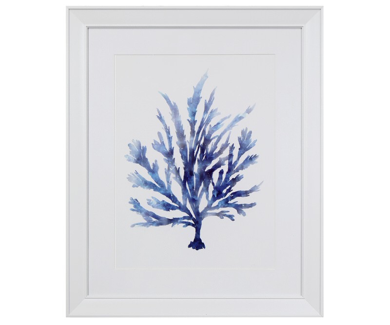 Coco Island III Blue Coral Framed Print