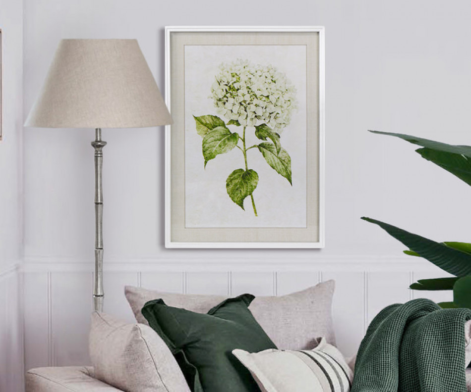 Snowball Hydrangea I Framed Print