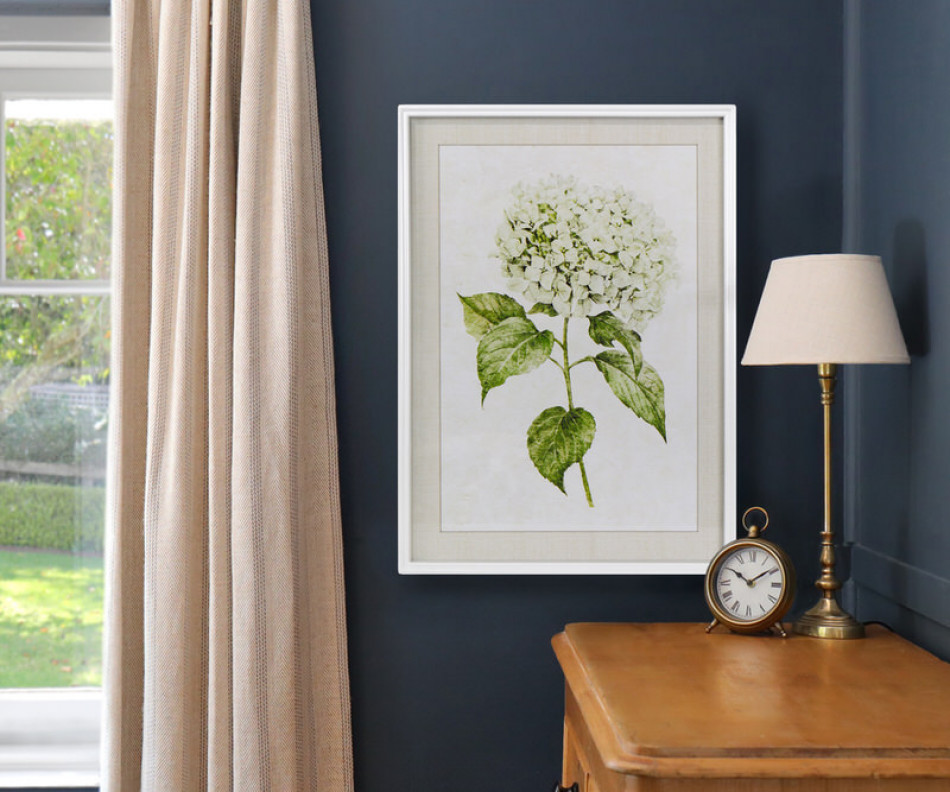 Snowball Hydrangea I Framed Print