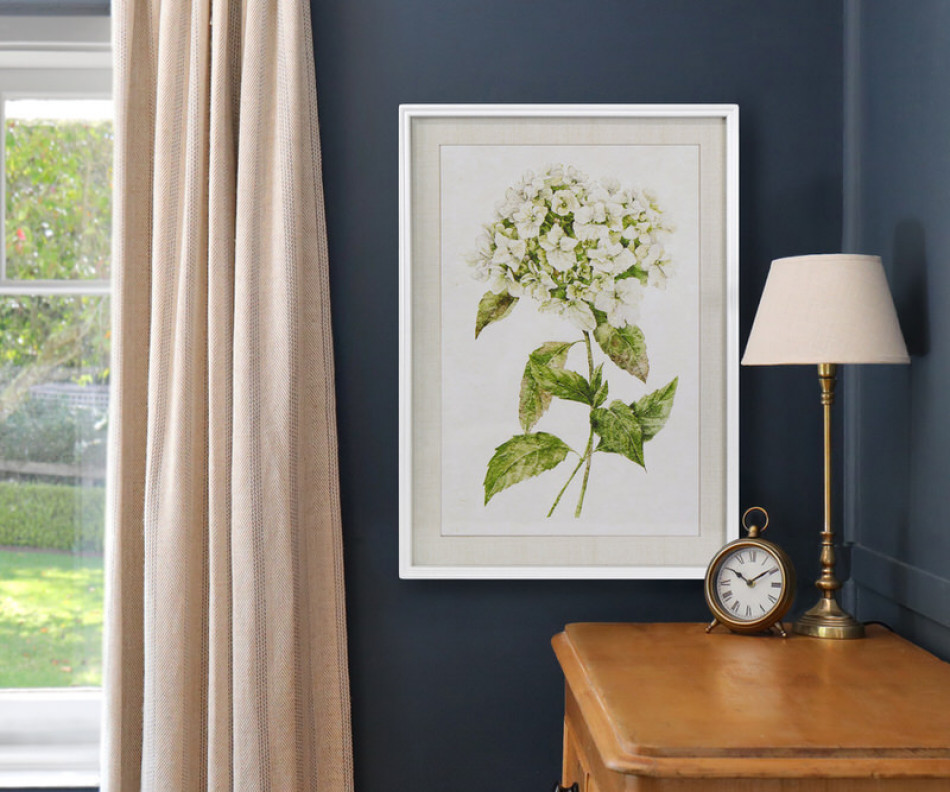 Snowball Hydrangea II Framed Print