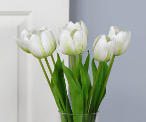 Set 6 Tall White Tulip Stems