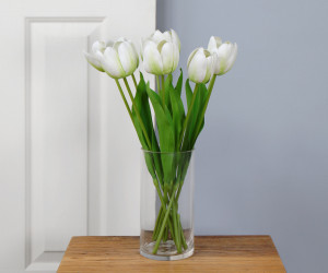 Set 6 Tall White Tulip Stems