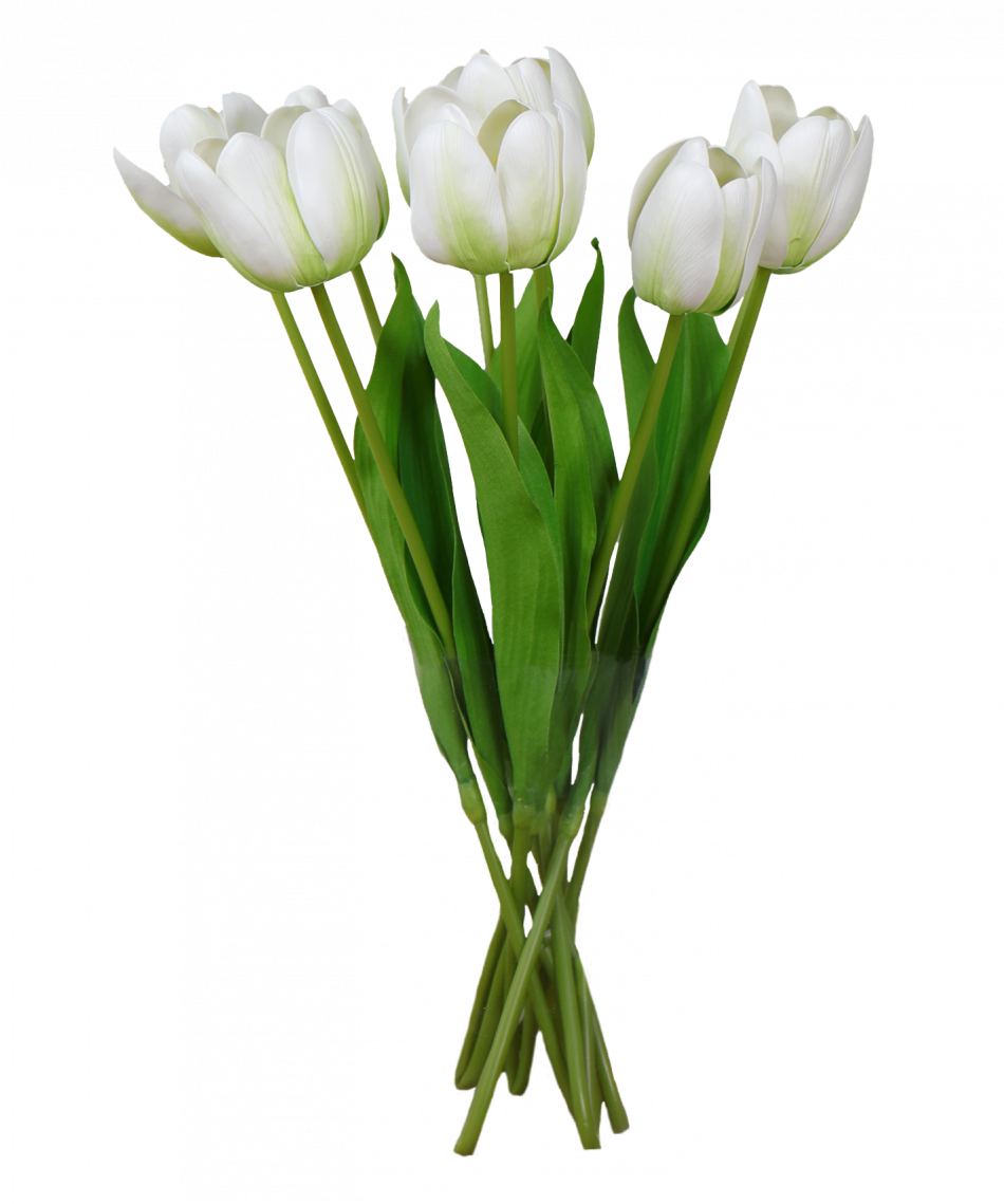 Set 6 Tall White Tulip Stems