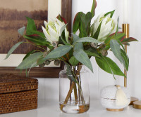 Blythe White Protea Vase Arrangement
